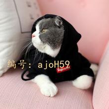 ̬